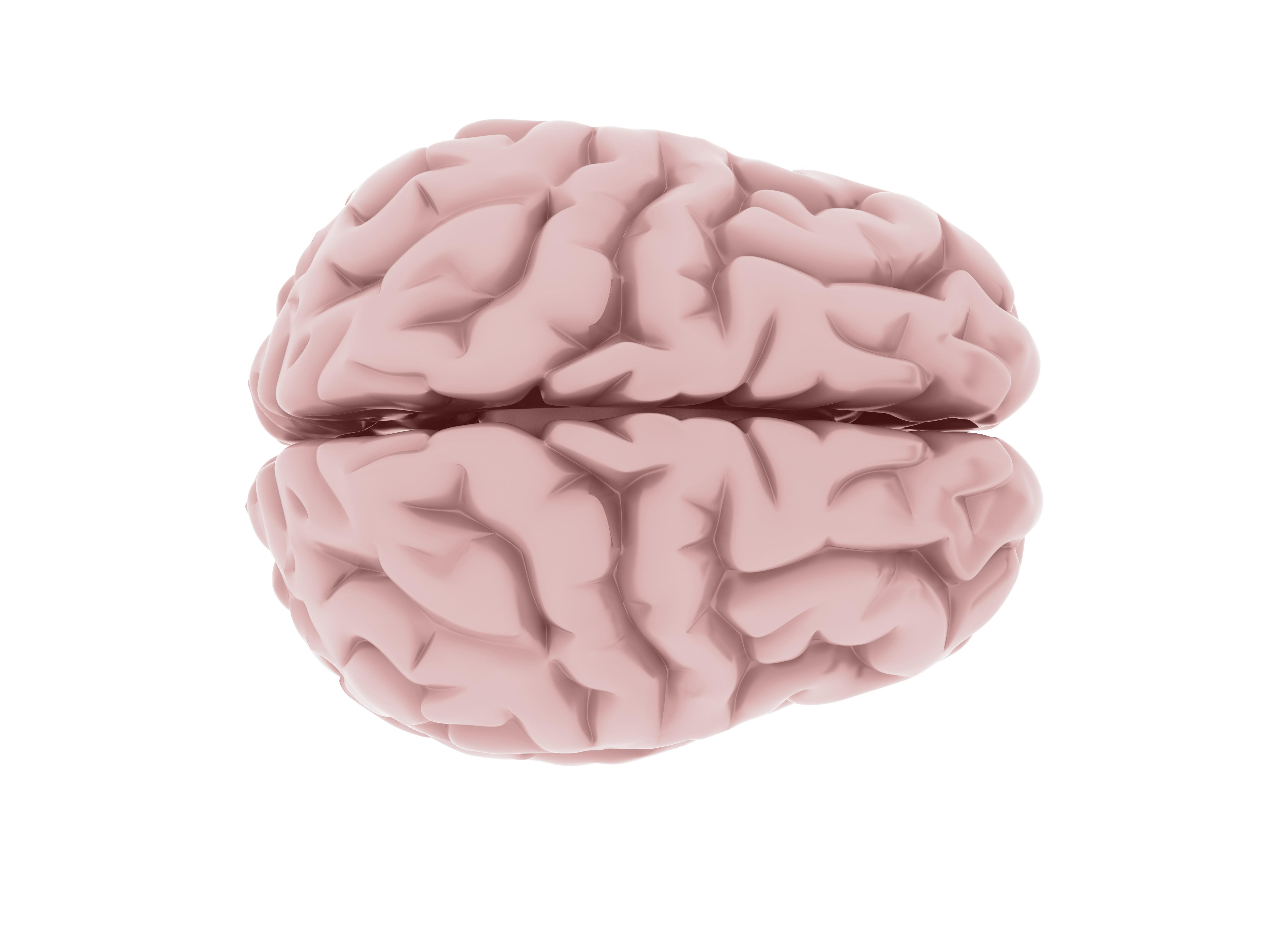 neuromitos gijon neuropsicologia infantil